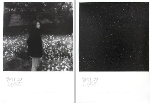 宇多田ヒカル　Wild Life ポスター2枚