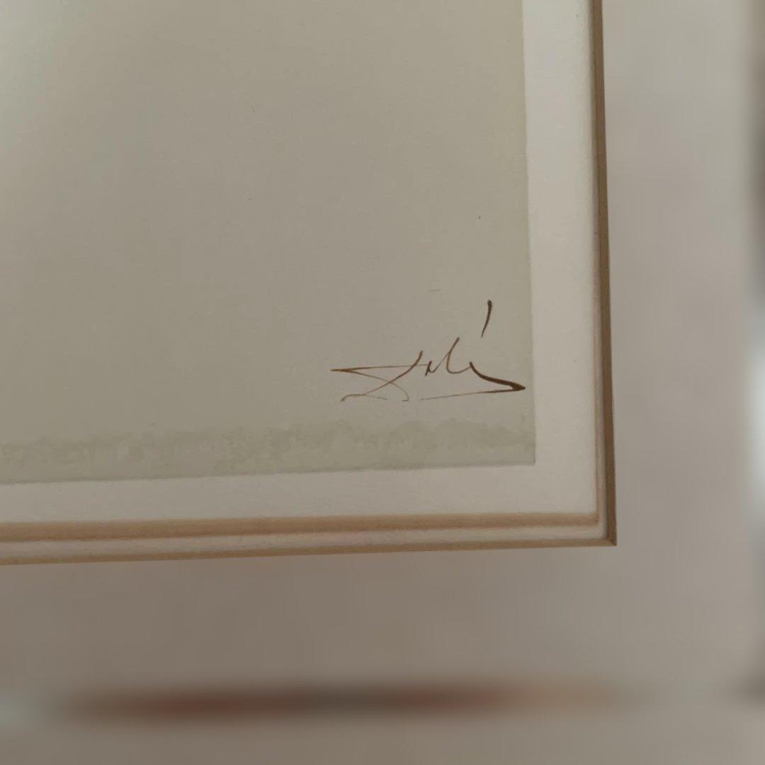 サルバドール・ダリ☆Salvador DALI リトグラフ「神曲」☆保証書付