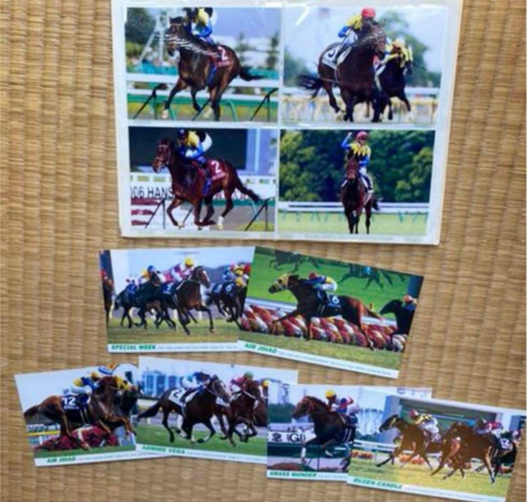 JRA 競馬 写真集