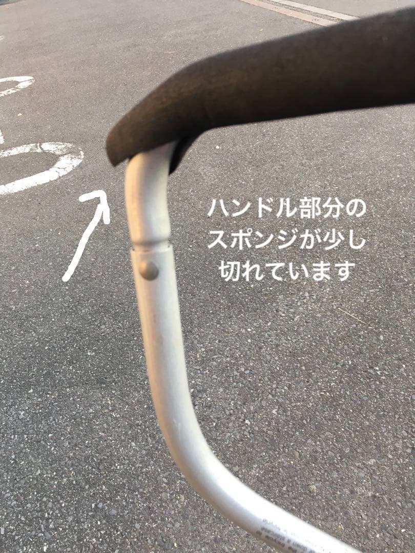 2人乗り三輪車（1人は立ち乗り）　ラジオフライヤー　フード付き　親用ハンドル付き