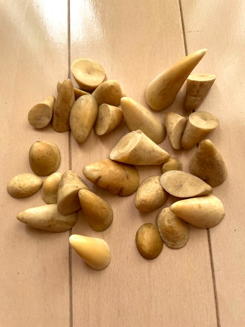 鯨歯　歯先のみ　マッコウ　根付け　ボーンカービング　イッカク　約114.76g