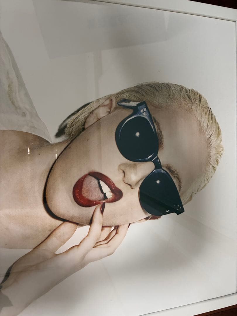 supreme ポスター【レディーガガ】