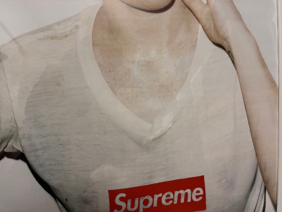 supreme ポスター【レディーガガ】