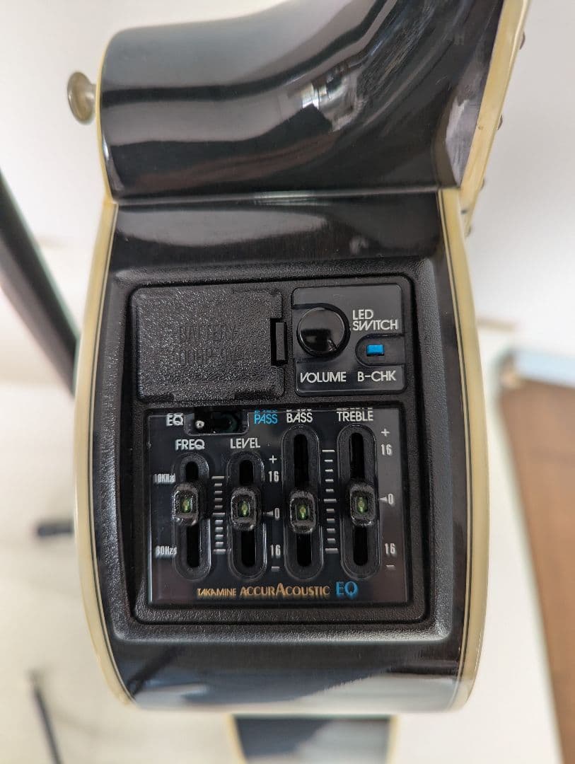 訳あり Takamine NPT110-12 12弦エレアコギター タカミネ