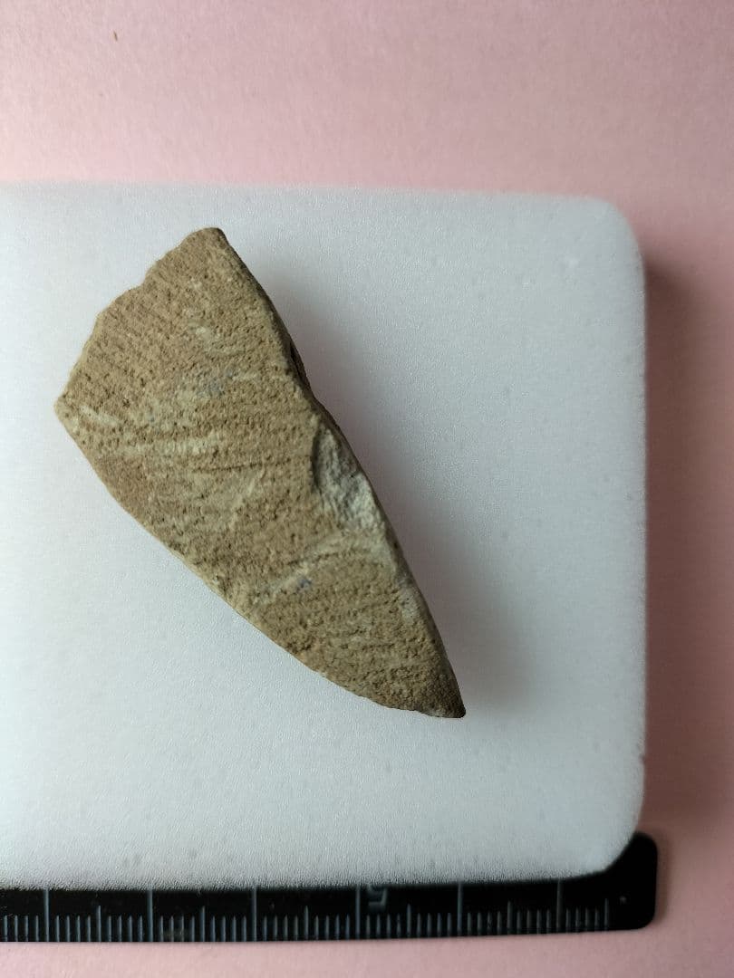 刻線入り石器！ 縄文時代晩期(約4400年前〜3200年前)？