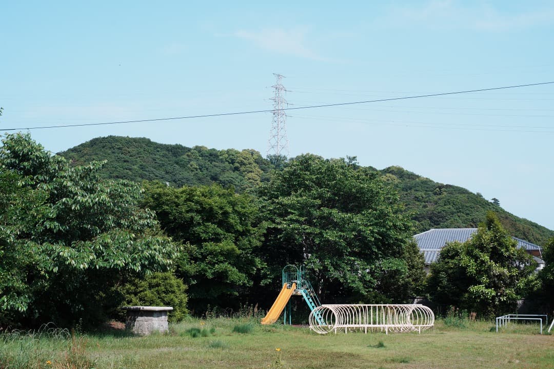 【極美品】Carl Zeiss Planar 50mm F1.4 MMJ 904