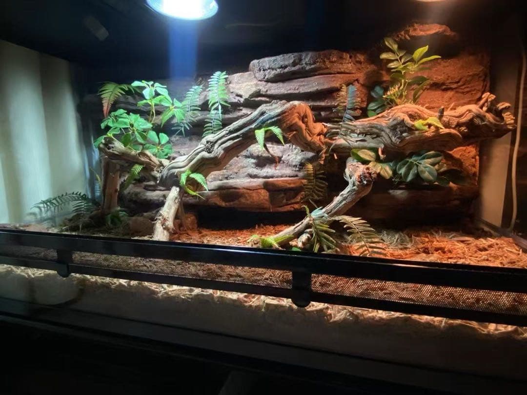 90x45x45cm爬虫類両生類飼育ケージ、組み立て式　ガラス飼育ケージ卸販売