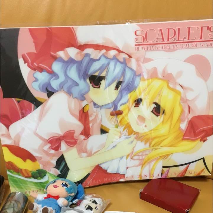 東方projectグッズ228点確認用