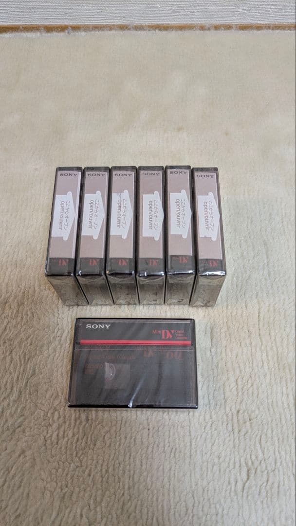 SONY ハンディカム PC300K オプションアクセサリー付