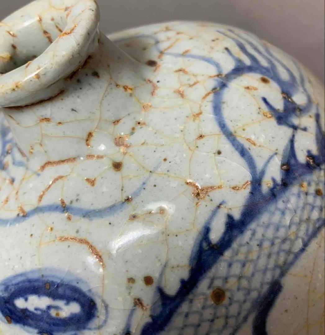 中国 染付龍絵梅瓶　f2250917