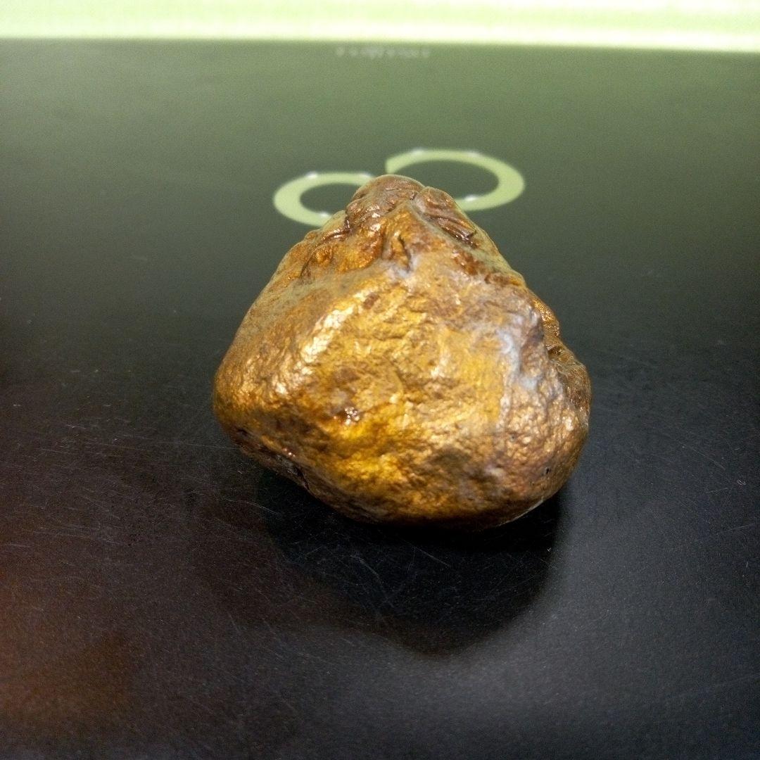 三葉虫　化石　fossil　ボリビア産　レア　Fossil管理④