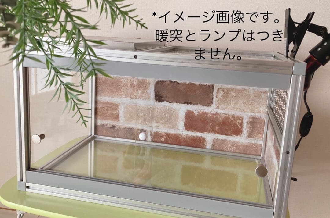 小動物、爬虫類