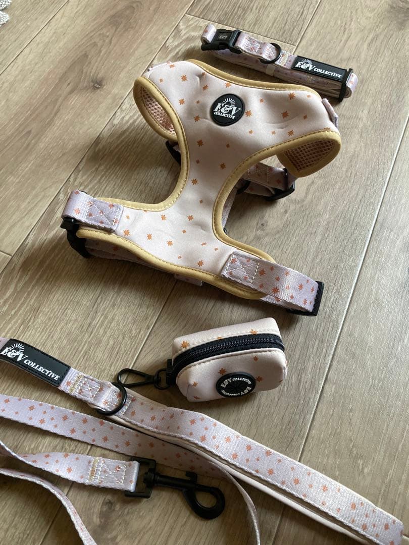 【イギリス製】中型、大型犬　カラー、ハーネス、リード、プーバック　4点セット