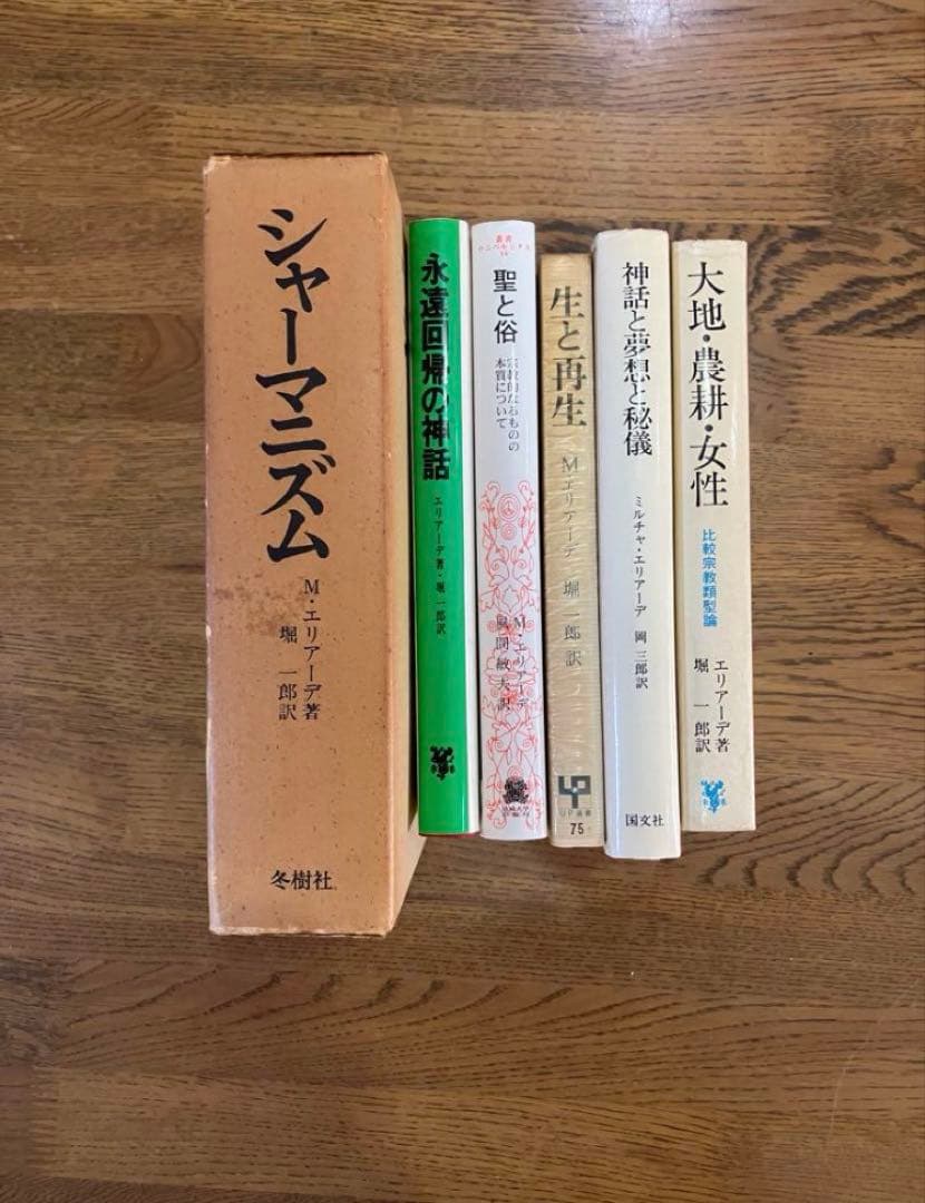 ミルチャ エリアーデ 6冊セット