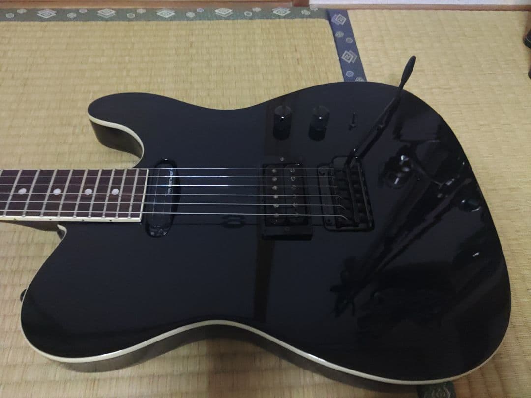 フェルナンデスTEJ-95S サスティナー