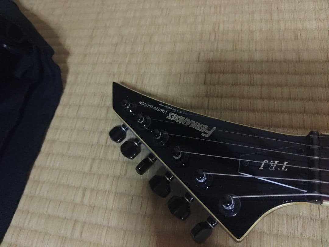 フェルナンデスTEJ-95S サスティナー