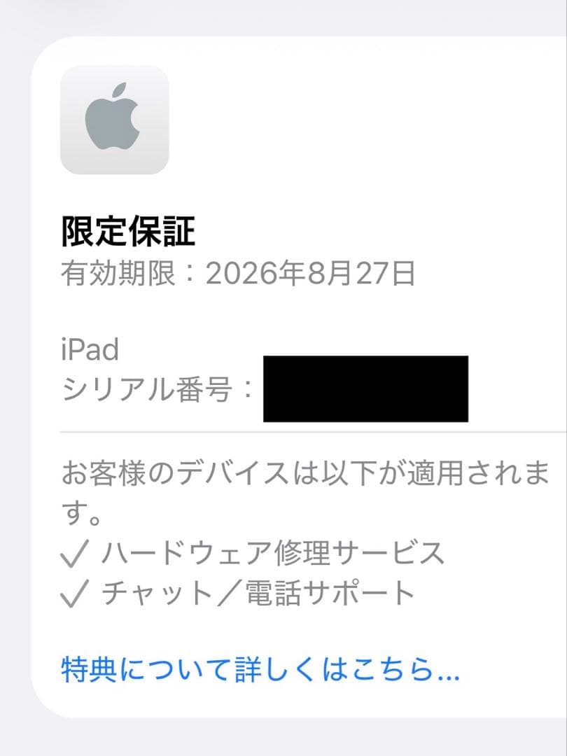 Apple iPad A16 （第11世代） シルバー Wi-Fi 128GB