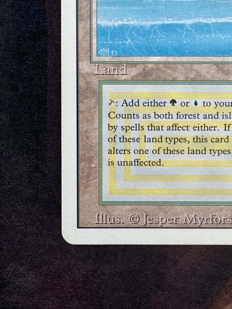 マジック：ザ・ギャザリング Tropical  3ED Revised