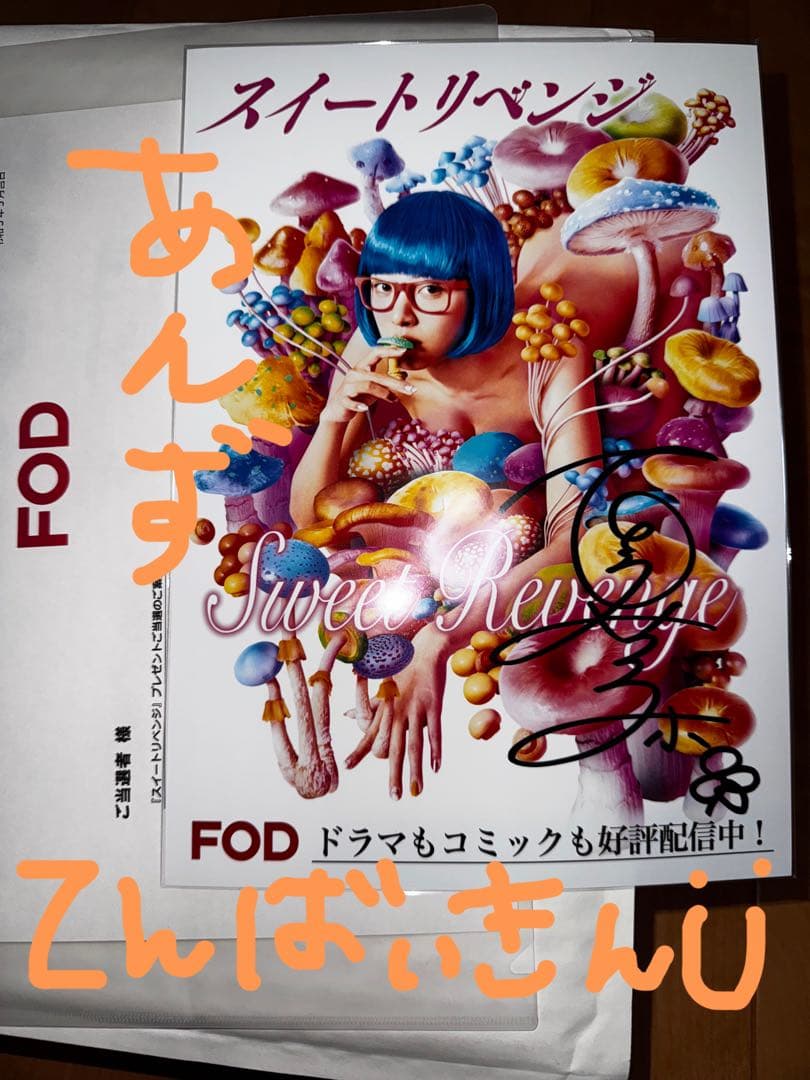 夏菜 直筆サイン入りミニポスター