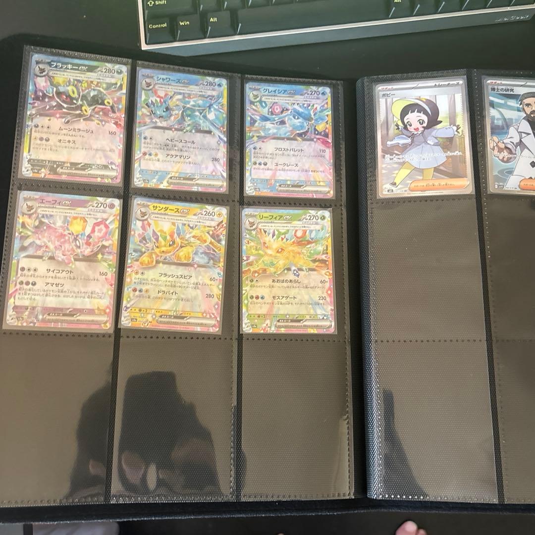 コレクションファイルプロピカチュウ