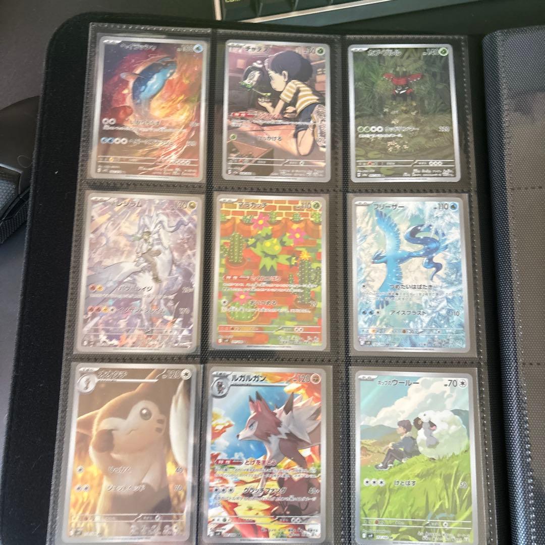 コレクションファイルプロピカチュウ