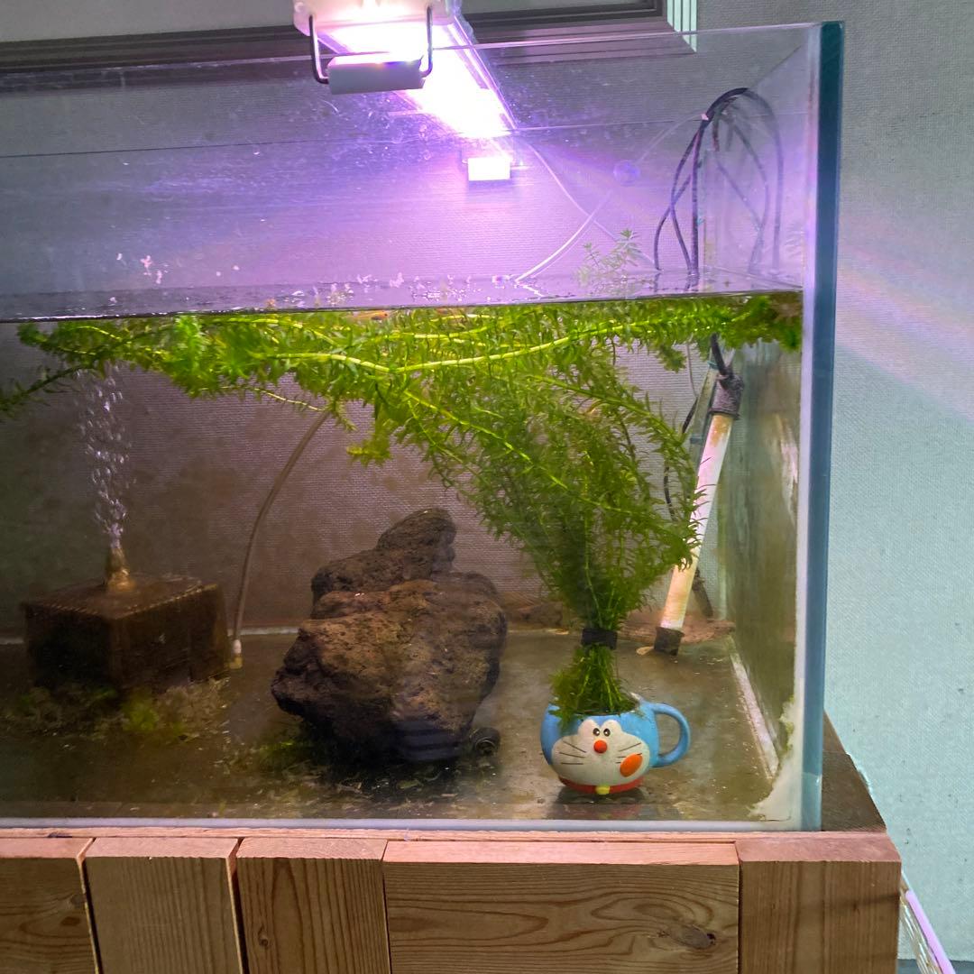 水槽１２０&水槽台　発送しません。手渡しのみ