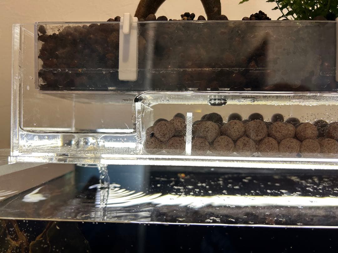 アクリル水槽 上部濾過アクアポニックス