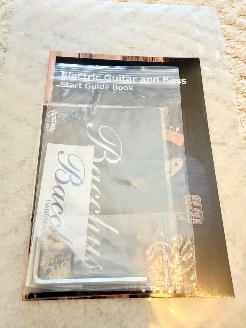 【ほぼ新品】Bacchus BTE-1-RSM/M BLK