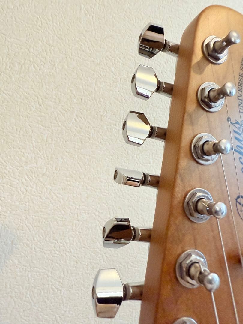 【ほぼ新品】Bacchus BTE-1-RSM/M BLK