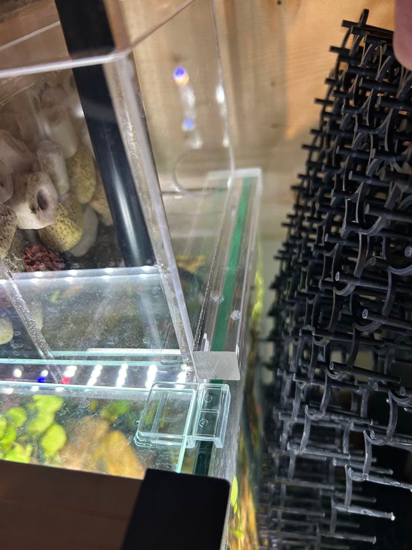 60cm水槽用　アクリル製上部濾過槽アクアポニックス仕様