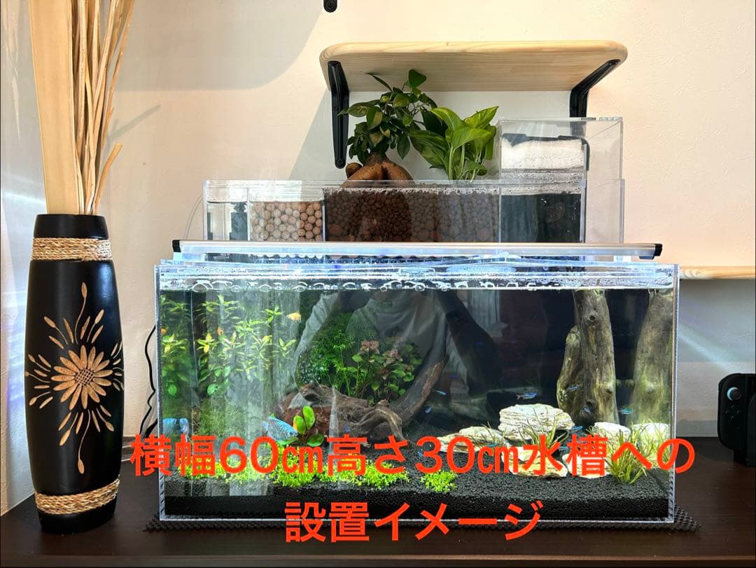 60cm水槽用　アクリル製上部濾過式アクアポニックス仕様