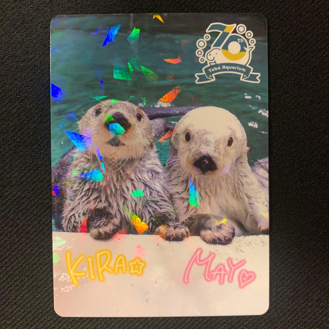 鳥羽水族館 TOBA AQUARIUMコレクションカード ラッコ キラ メイ