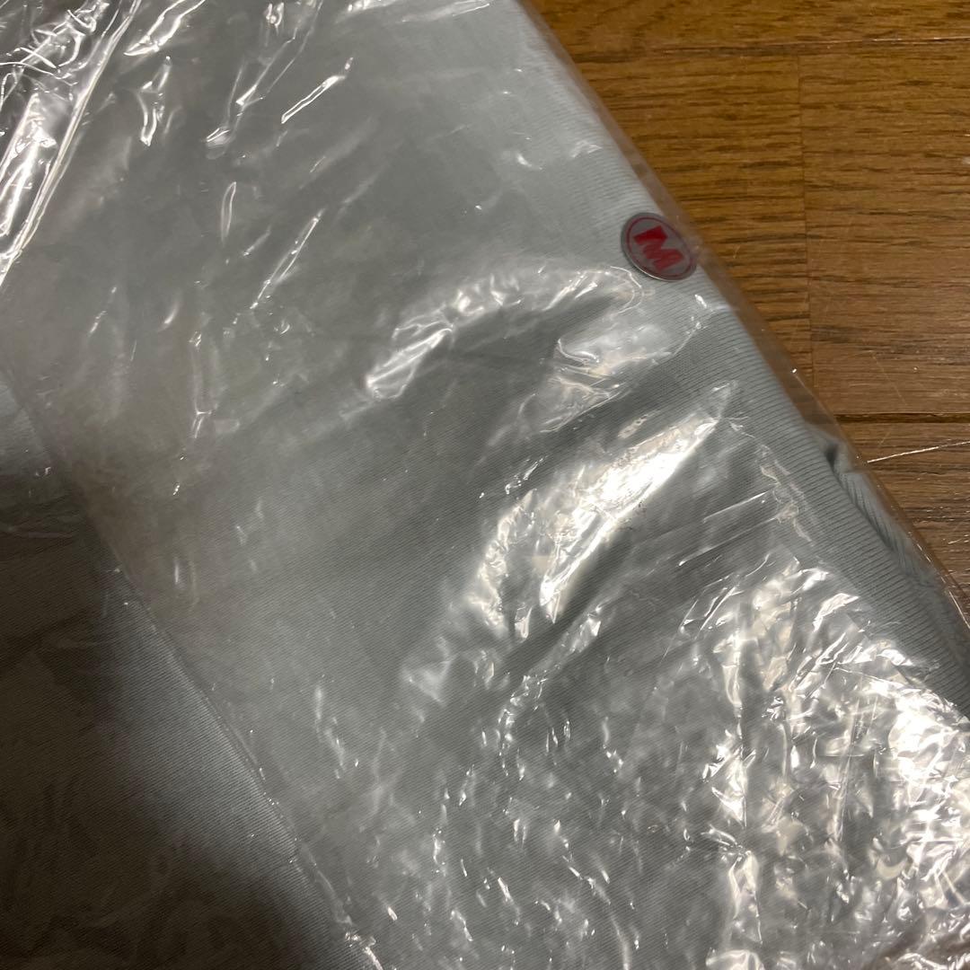 椎名林檎 藝帝Tシャツ ヘルマン 林檎班 ファンクラブ限定 初期　ユニコーン