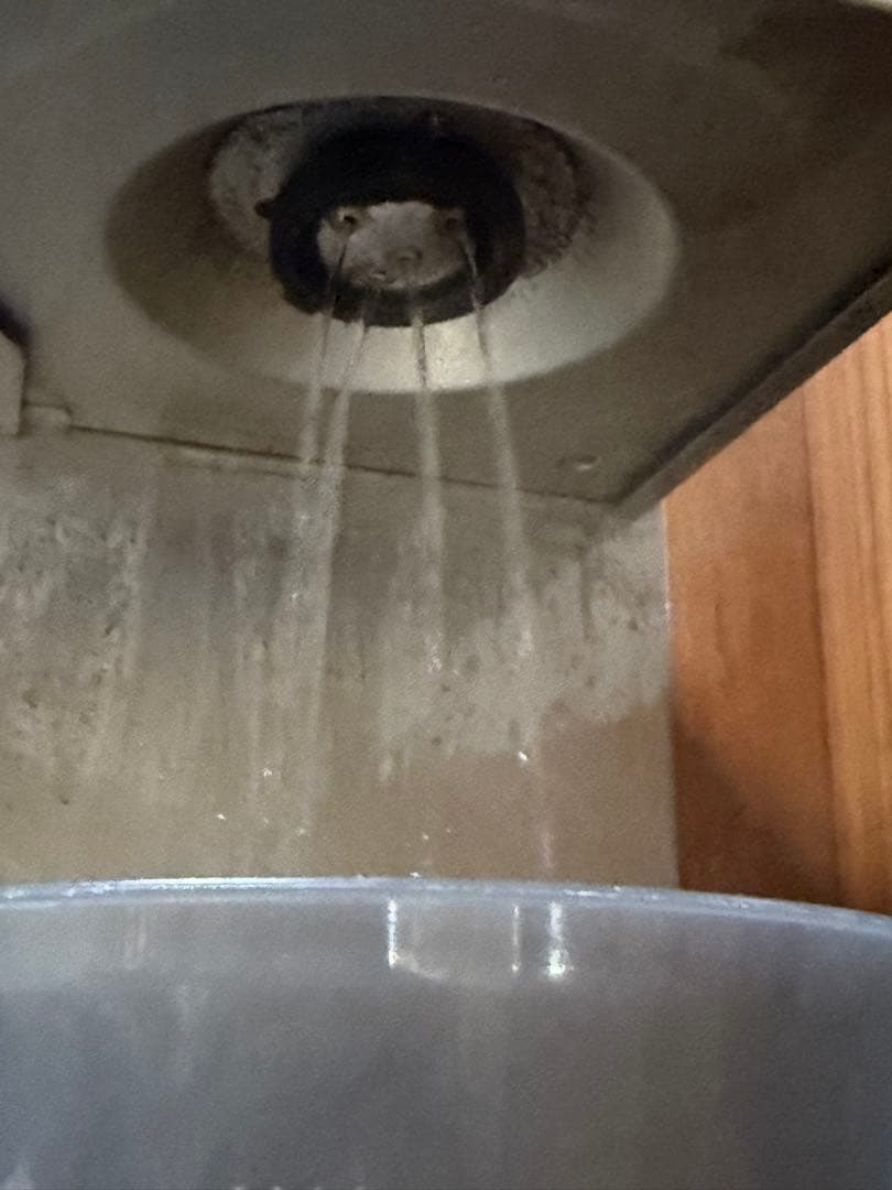 Karita カリタ HG115 単相200v 水道直結 ドリップコーヒー式