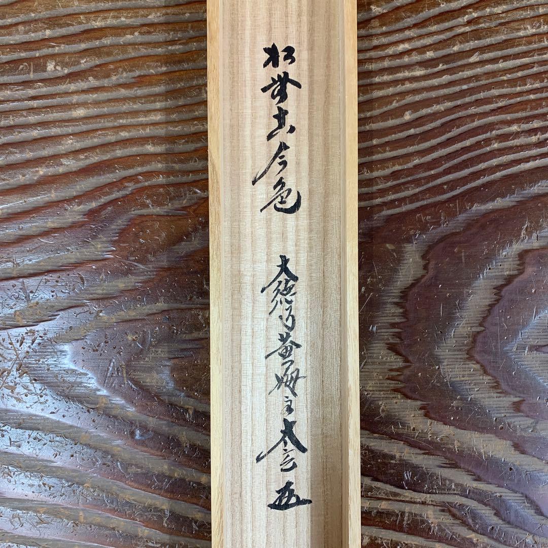 美品 掛け軸 黄梅院 小林太玄作「松無古今色」共箱 禅語 年中掛け