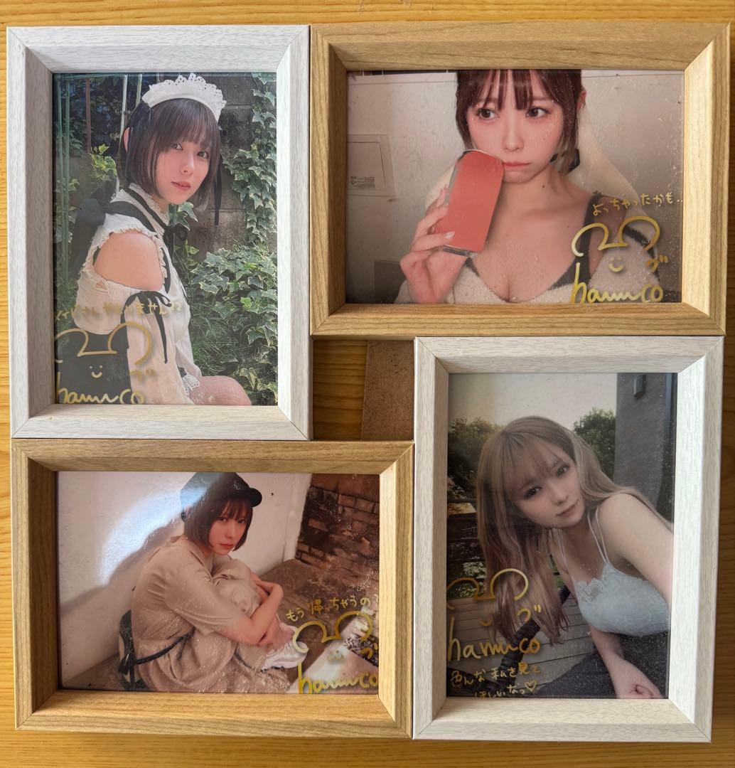 数量限定 なまはむこ写真集＆限定非売品セット