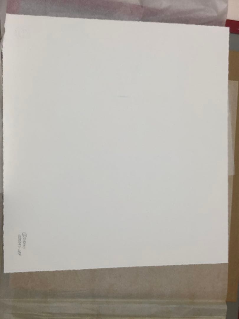 ディズニーMickey & Minnie 500枚限定版シルクスクリーン