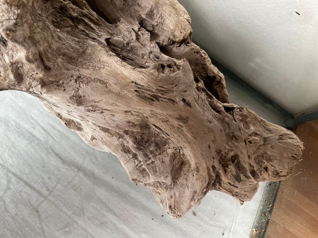 大型　☆アクアリウム　生花　テラリウム 爬虫類　天然流木 ホーンウッド　⭐︎