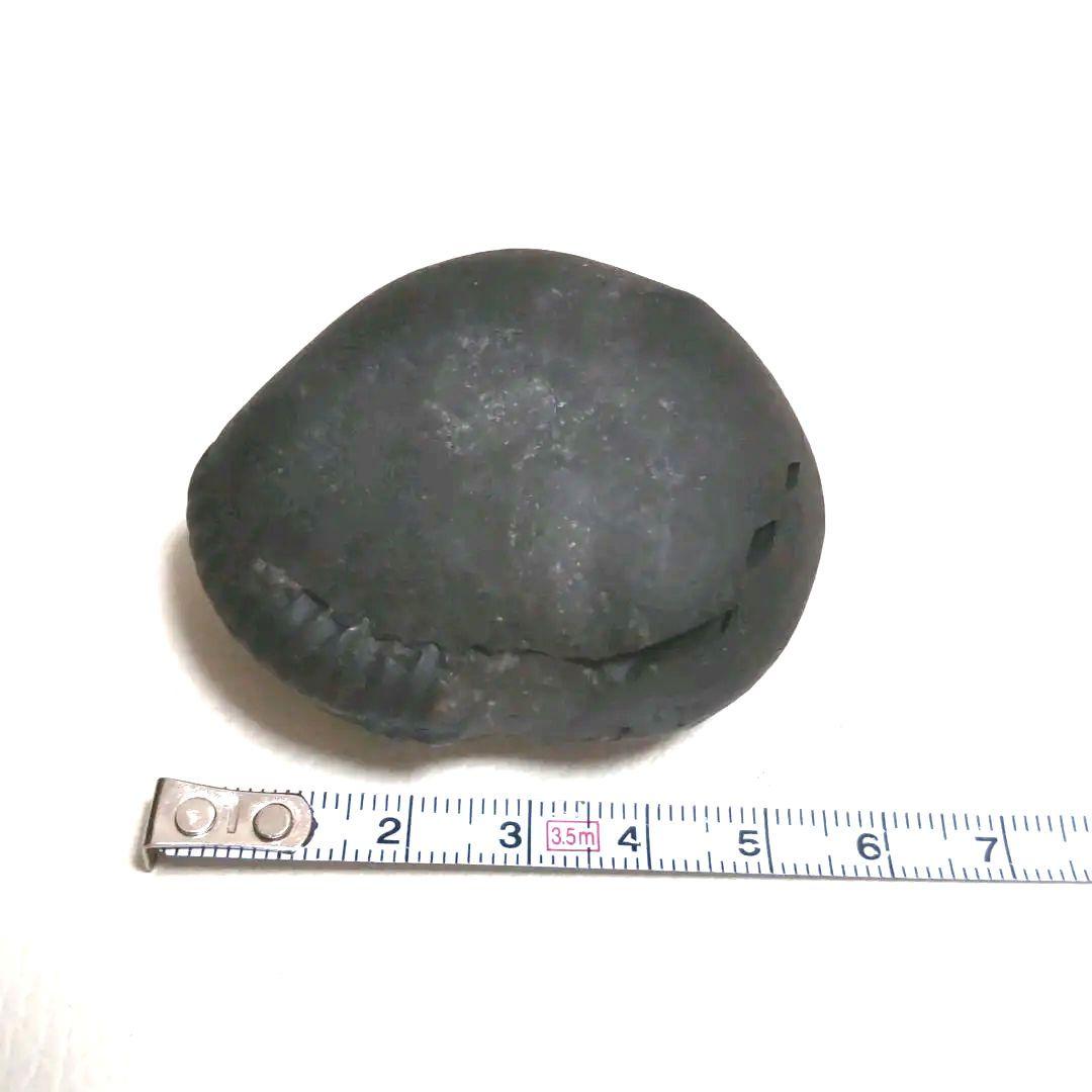 【美品】アンモナイト　3セット