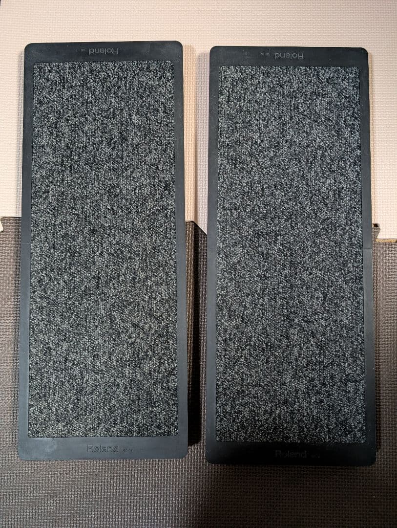 【美品】Roland NE-10 ノイズイーター 2枚