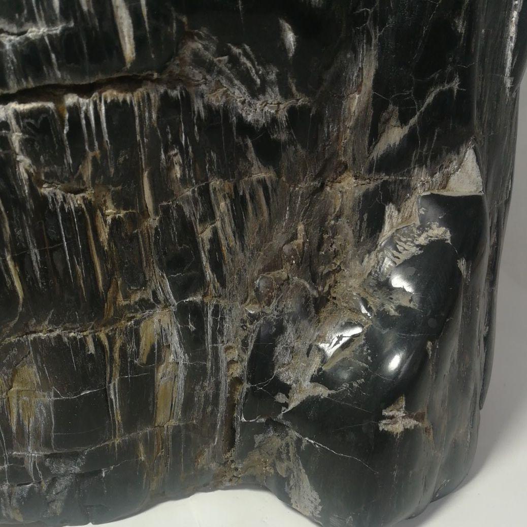 木化石　置物　鑑賞石　台座付