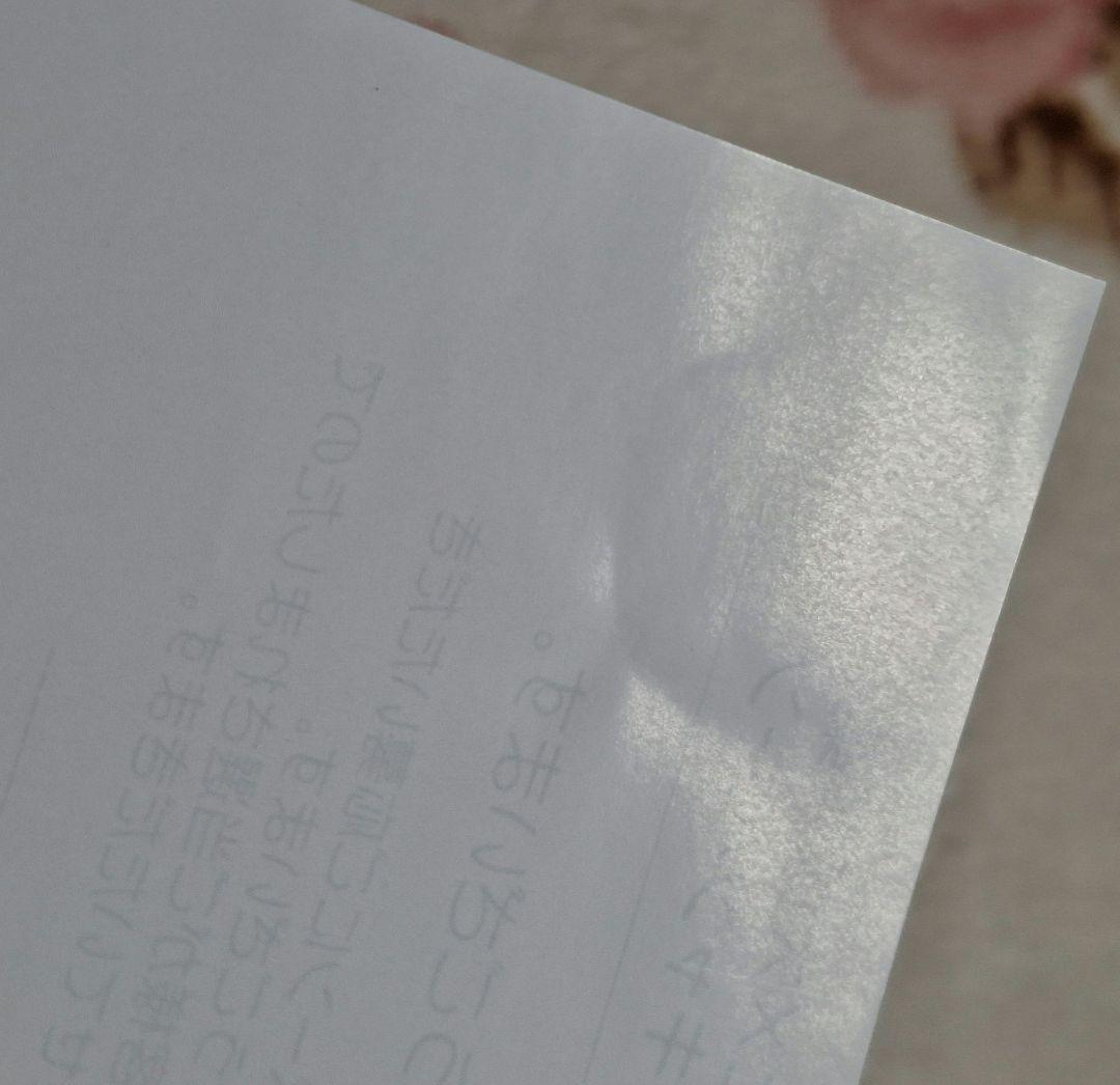 薬屋のひとりごと 大塚製薬 宝探しキャンペーン クリアファイル 当選通知付き