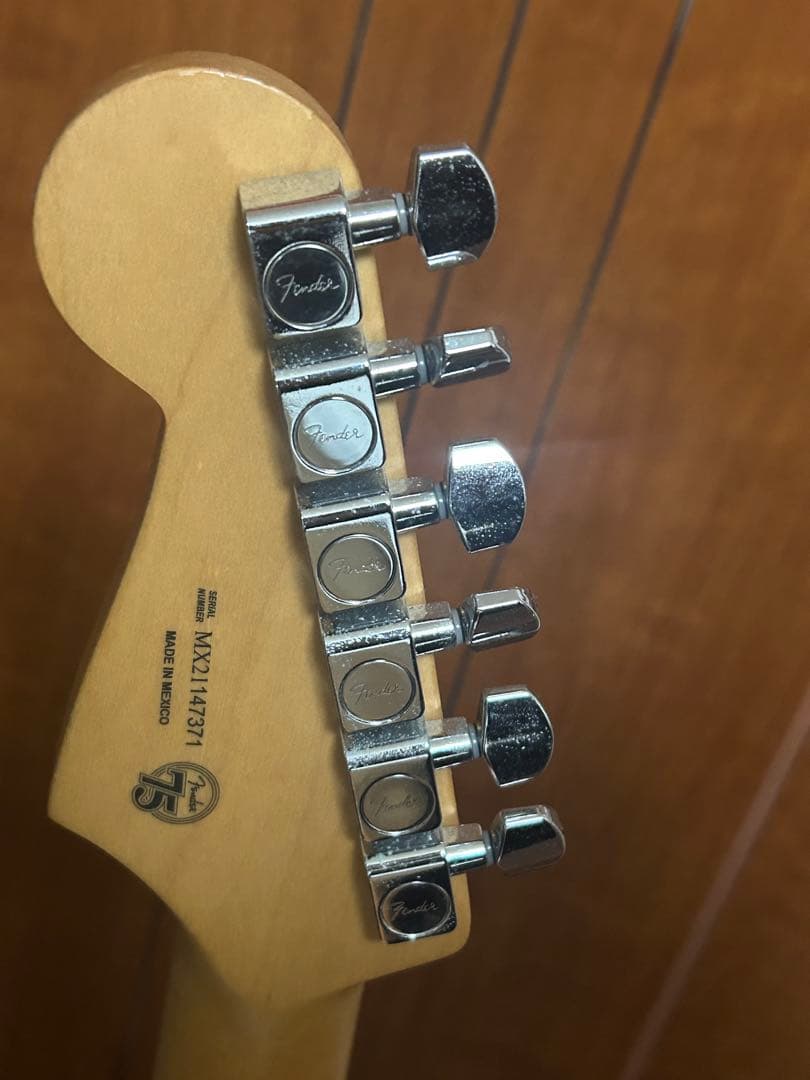 ギター Fender / Player Stratocaster Tidepool