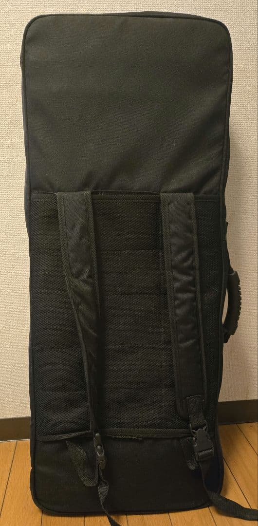 Roland Lucina AX-09 ケース付