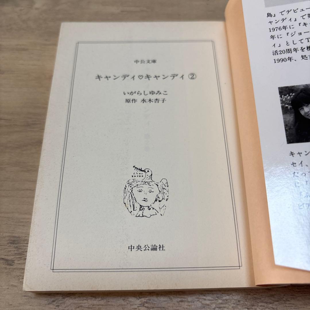 キャンディ♡キャンディ いがらしゆみこ 文庫版 全巻セット②