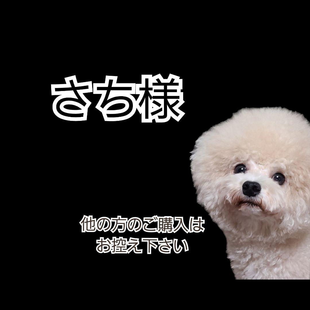 【さち】K９ナチュラル