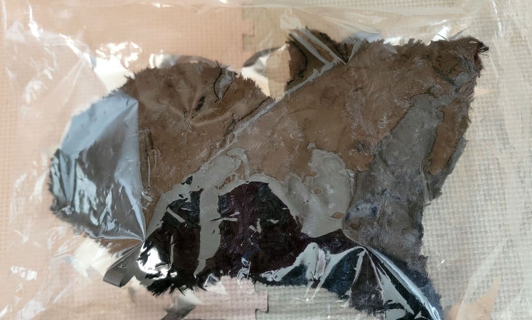 リイシューねこちゃん BLACK&BEIGE ショッパー3点セット