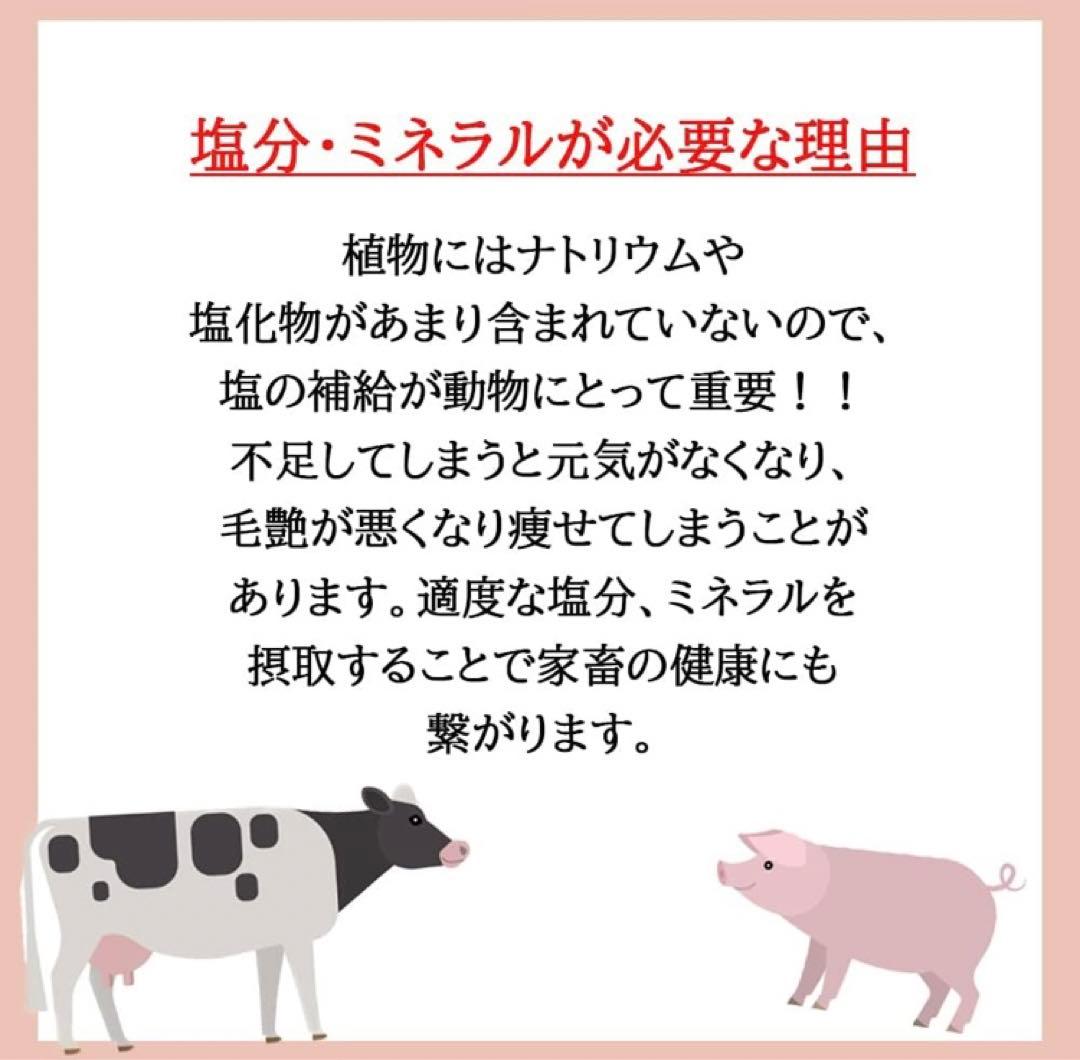 岩塩ブロック ドーナツ型 (6ブロック) 1ブロック=4.5kg~5kg