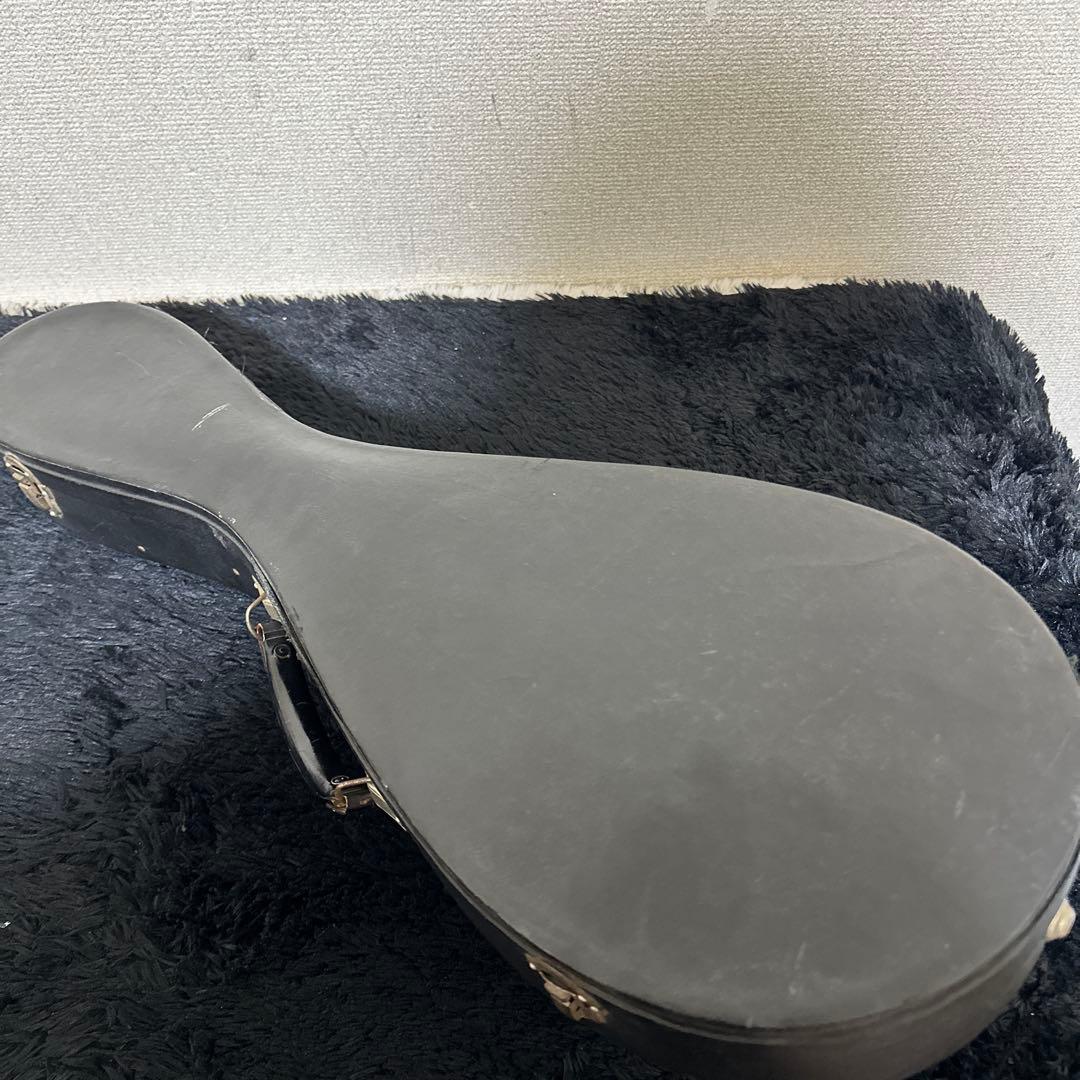 野口 賢 M.NOGUCHI マンドリン ハードケース付属 弦楽器 レア