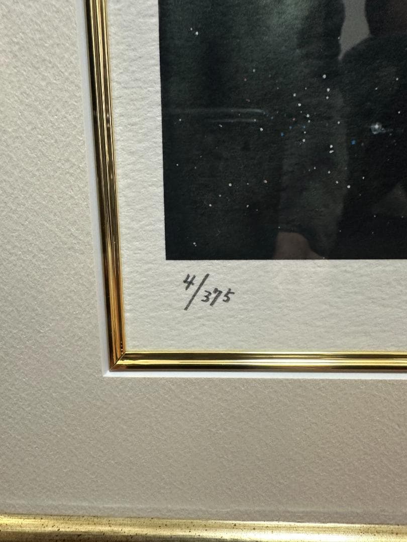 【直筆サイン入り】美樹本晴彦 マクロスII 版画 額装済 4/375 額装済み